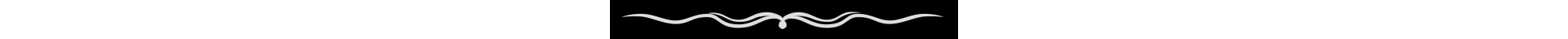 bn-razdelitel